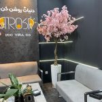 درخت شکوفه گیلاس