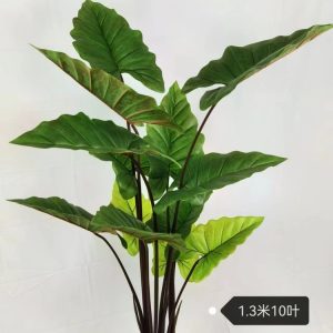 درختچه بابا آدم