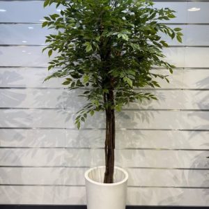 درختچه بنجامین مصنوعی وارداتی