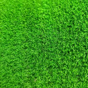 چمن مصنوعی 10 میل پوتینگ