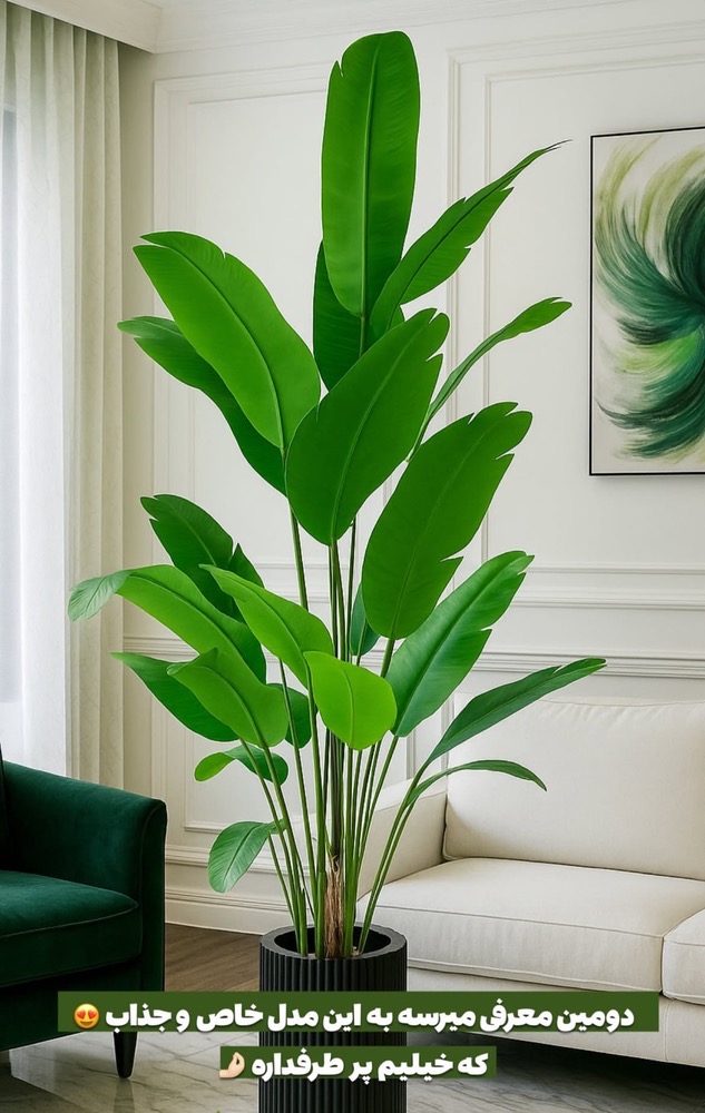 درختچه پرنده بهشتی برگ پهن 20 برگ