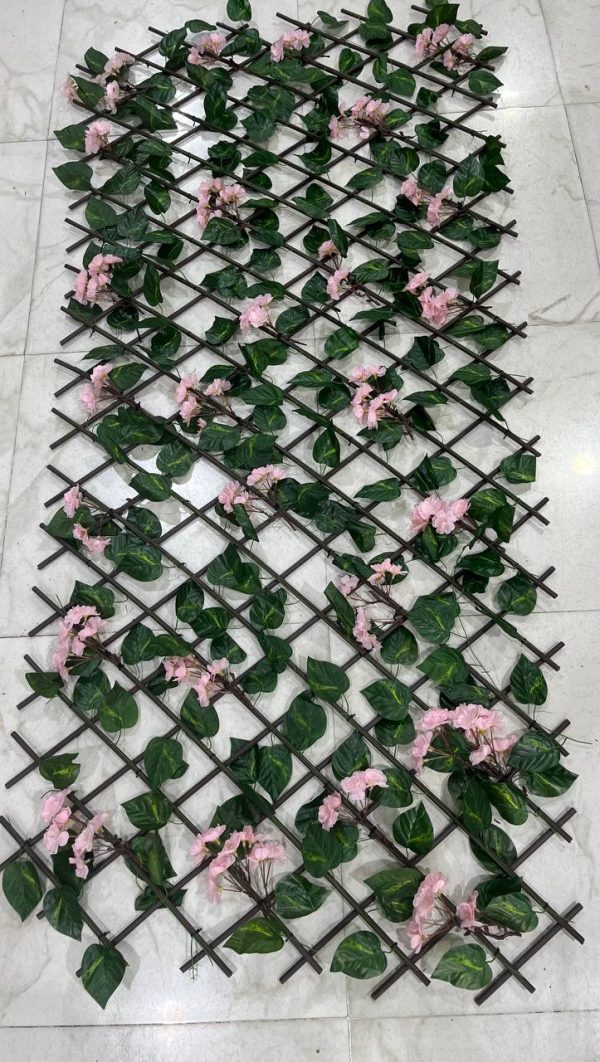 حصار آکاردئونی شکوفه قرمز