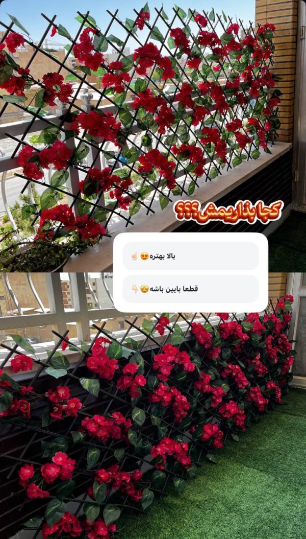 حصار آکاردئونی شکوفه قرمز