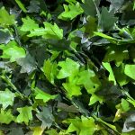فنس چمنی برگی